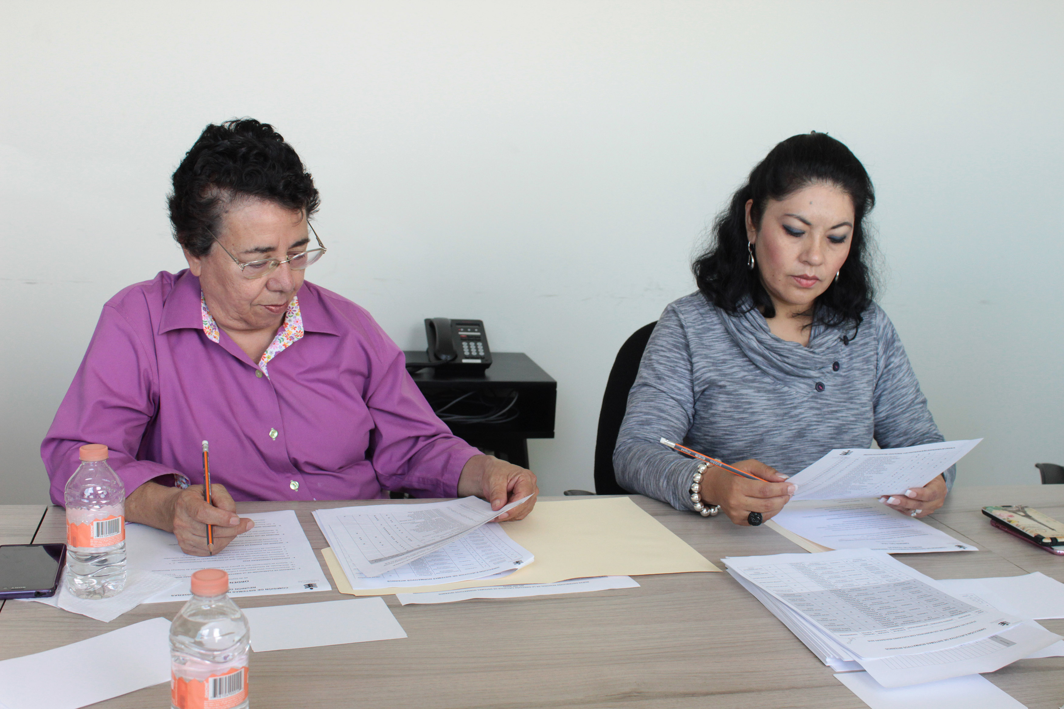 Comisión de Sistemas Normativos Indígenas - DESNI